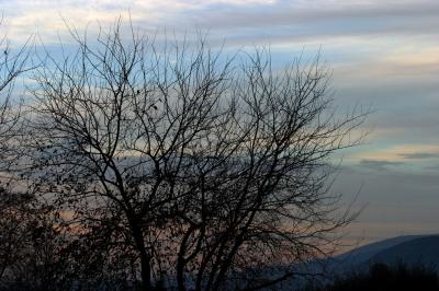 IMG_9809.JPG
