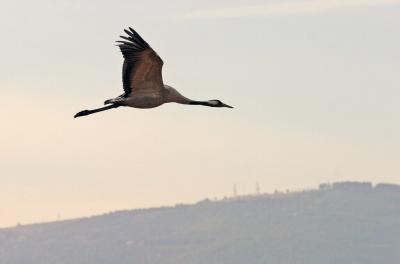 IMG_9872.JPG