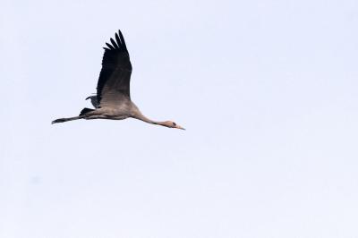 IMG_9899.JPG