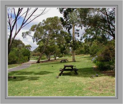 Park table