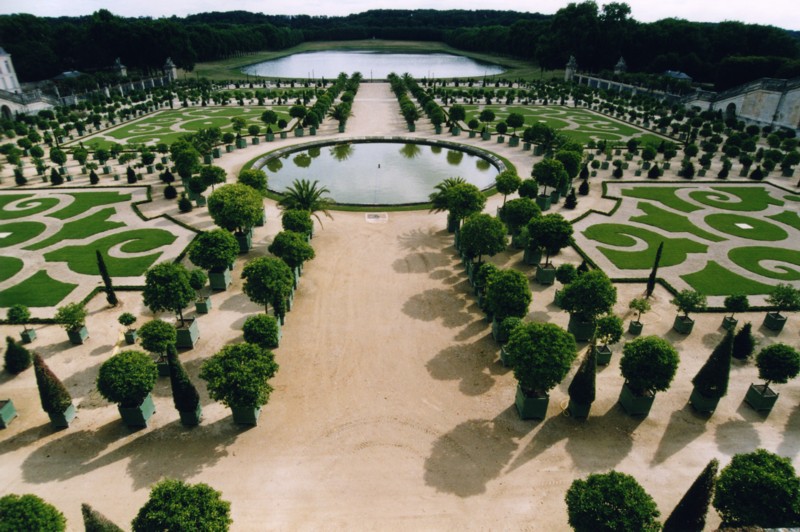 L'Orangerie  Versailles