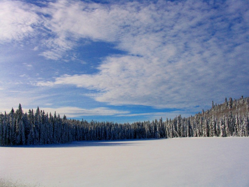 Parc des Laurentides , lac gelé