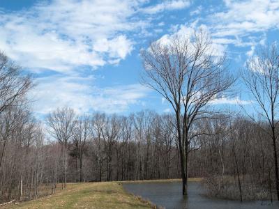 Penitentiary Glen 1