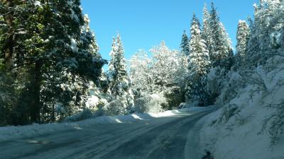 Driving through Yosemite