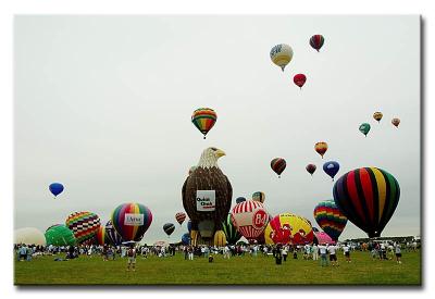 CRW_7999L.jpg