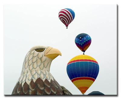 CRW_8014L.jpg