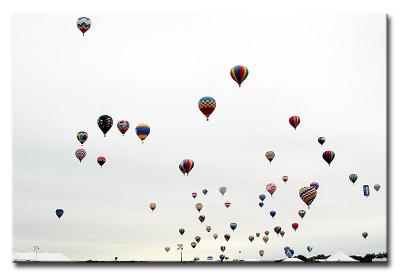 CRW_8040L.jpg