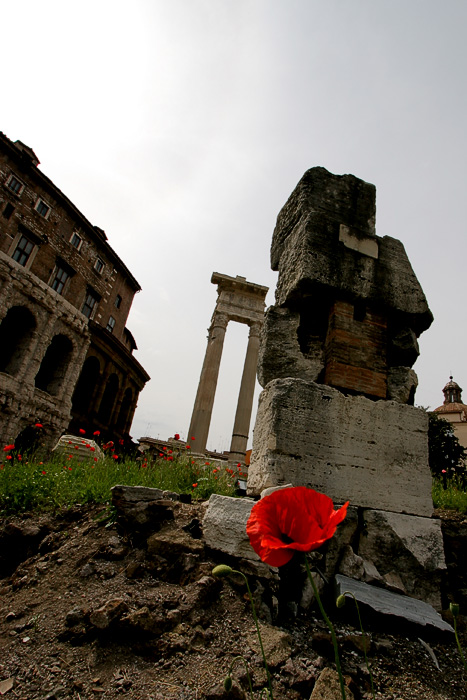 Roman Spring