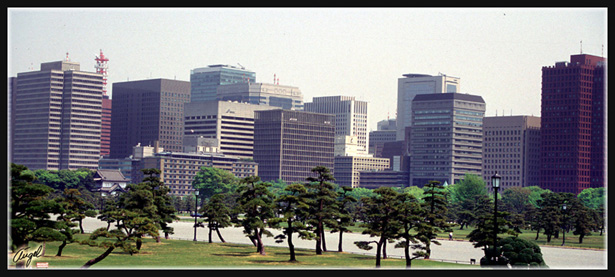 JAPON_002_MED__MED_W.JPG