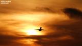 MD80 takeoff sunset aviation stock photo