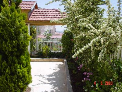 My Garden 001.jpg