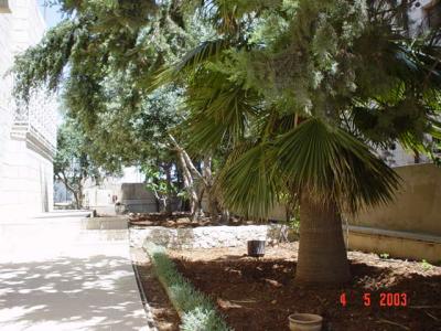 My Garden 012.jpg