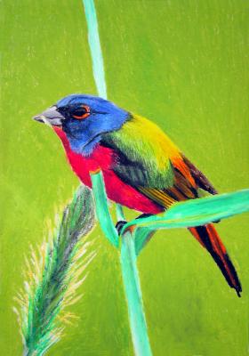 Bird in a Field - Pastel