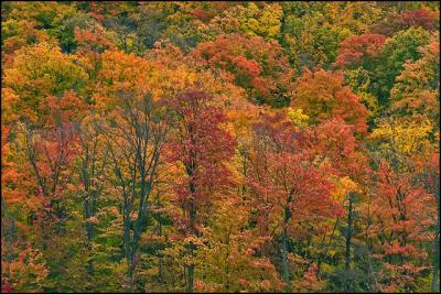CRW_0150.jpg