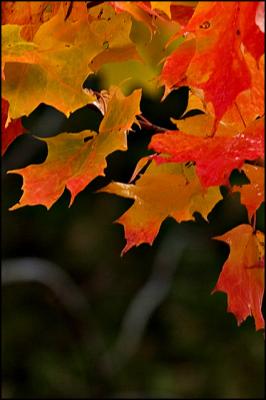 CRW_0171.jpg