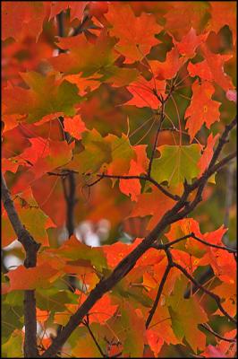 CRW_0174.jpg