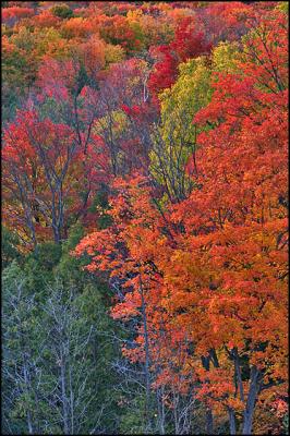 CRW_0200.jpg