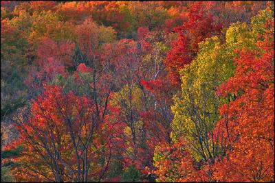 CRW_0213.jpg