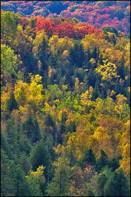 CRW_0007.jpg
