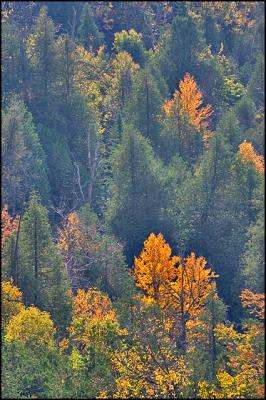 CRW_0023.jpg