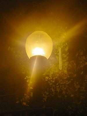 ShinyLamp.jpg