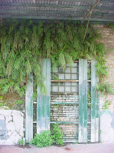 WarehouseFerns.jpg