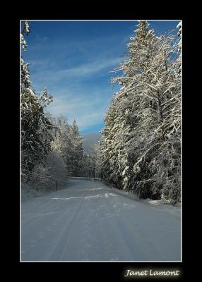 Diamond Vista Drive
