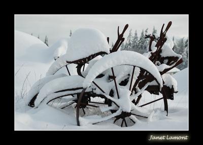 No plowing today