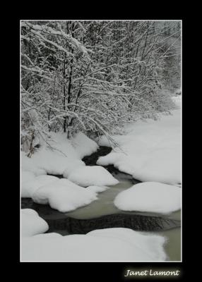 A black and white world