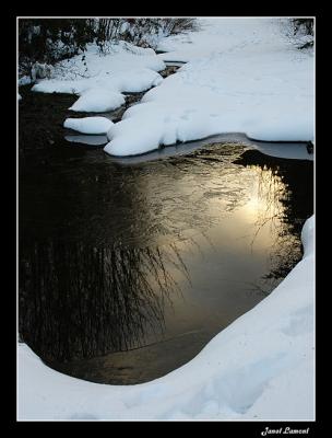 <b>Reflections of winter</b><br>January 14