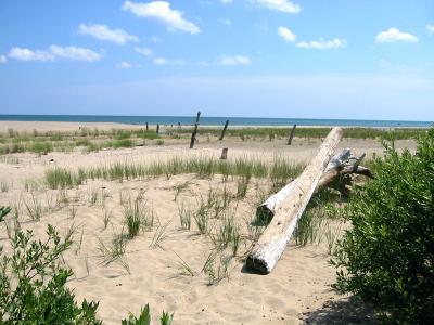 Oscoda and Au Sable, Michigan