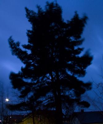 CRW_4909.jpg
