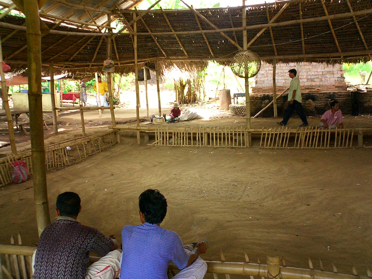Cockfight arena - Anturan (Lovina), Bali