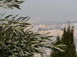 peace in jerusalem.jpg