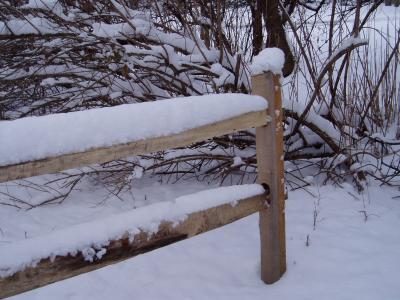 Snow covered fence