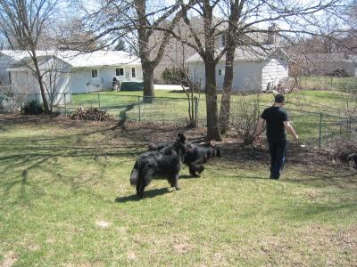 sam 04/03.jpg