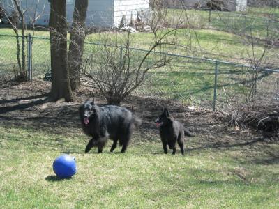 sam 04/03.jpg
