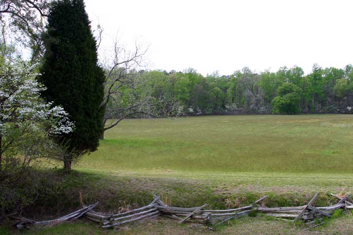 Surrender Field