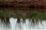 Rippled Shoreline Reflections