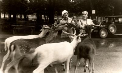 Ethel,Jean,deer.jpg