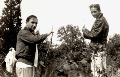 Leo-1937.jpg