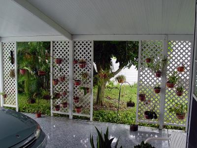 wall of orchids