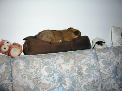 Apr2_05_020.JPG