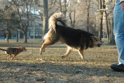 Apr4_05_091.JPG