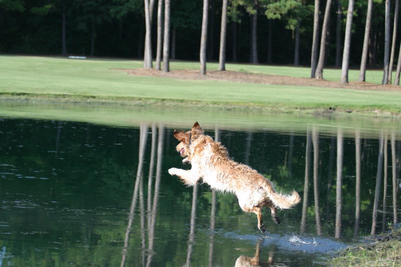 Toby over Water