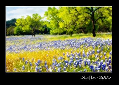 Bluebonnets and Trees