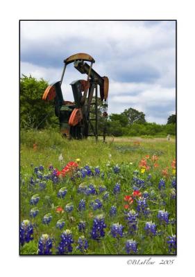 Oil Well and Bluebonnets