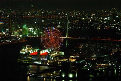u13/bmcmorrow/medium/38403898.osaka052.jpg