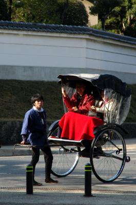 You can get around the park in a rickshaw
