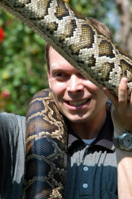 Roy and a python